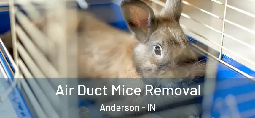 Air Duct Mice Removal Anderson - IN