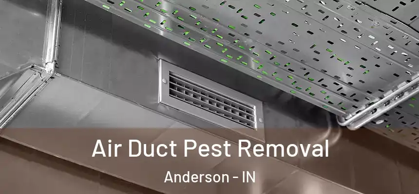  Air Duct Pest Removal Anderson - IN