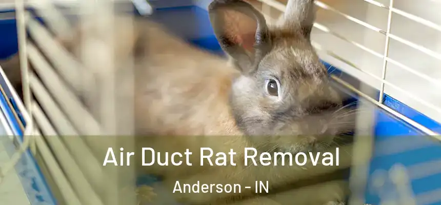  Air Duct Rat Removal Anderson - IN