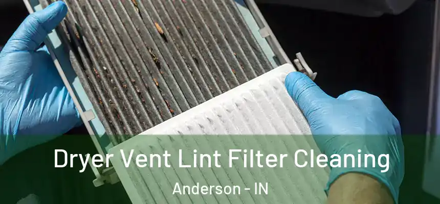  Dryer Vent Lint Filter Cleaning Anderson - IN