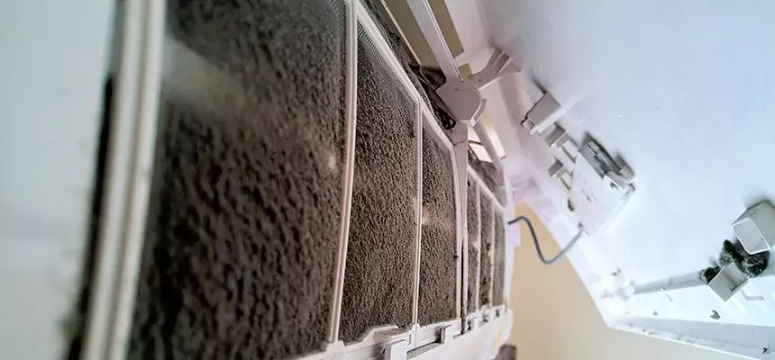 Preventive Air Duct Bacteria Removal in Anderson