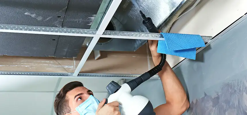 Our Air Duct Rodent Removal Services in Anderson, IN