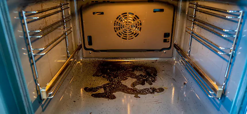 Our Dryer Vent Mold Cleaning Services in Anderson, IN