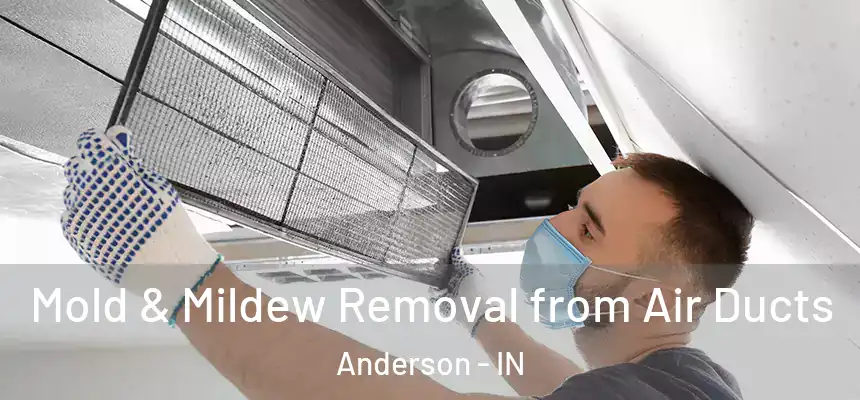 Mold & Mildew Removal from Air Ducts Anderson - IN