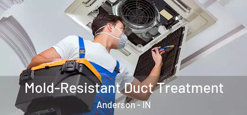  Mold-Resistant Duct Treatment Anderson - IN