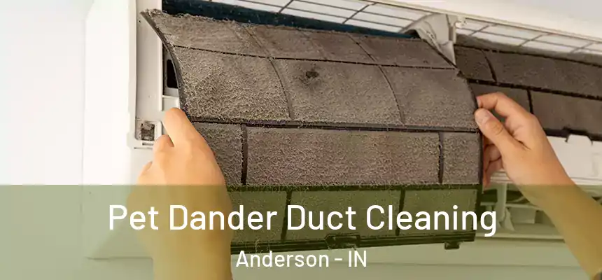 Pet Dander Duct Cleaning Anderson - IN