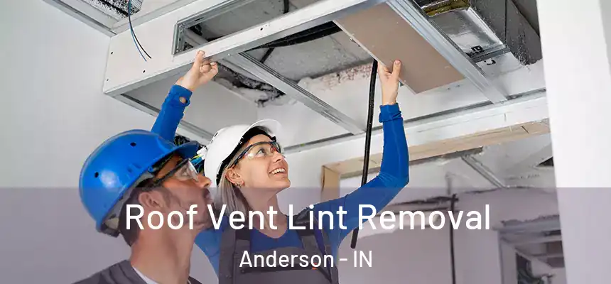  Roof Vent Lint Removal Anderson - IN