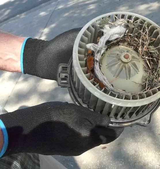 About Air Duct Mice Removal in Anderson, IN