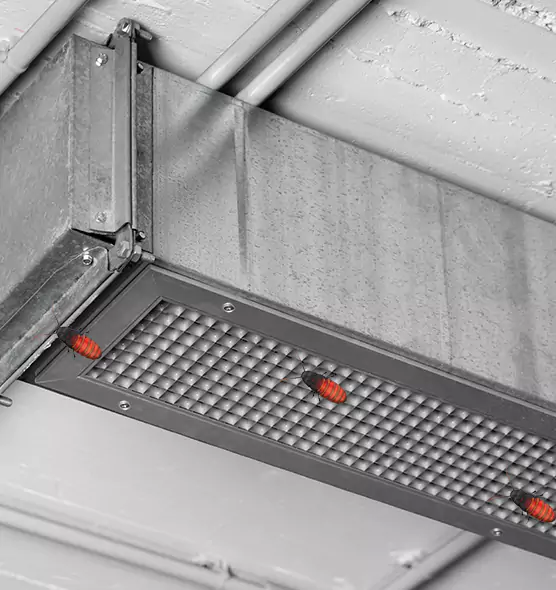 Affordable Insect Removal from Air Ducts in Anderson, IN
