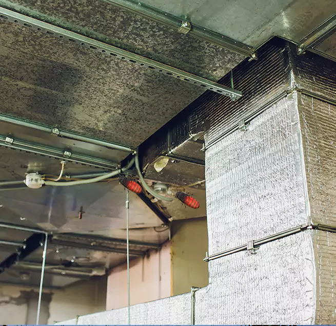 Why Homeowners & Businesses Trust Us in Anderson, IN?